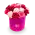 Flower of box